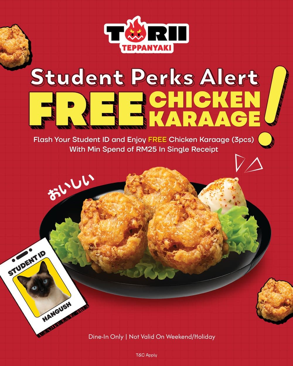 Student Perks promotion